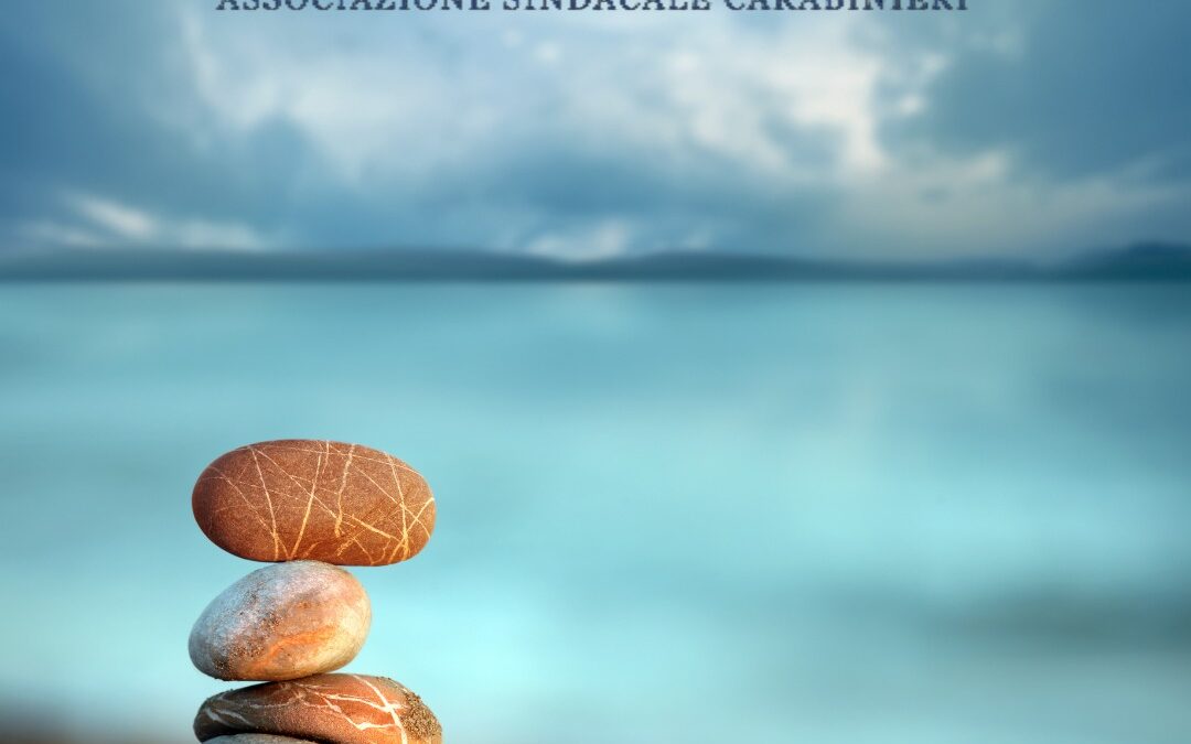 COMANDO PROVINCIALE E COMPAGNIA CC DI BOLZANO: OSTACOLI ALLA COESIONE.