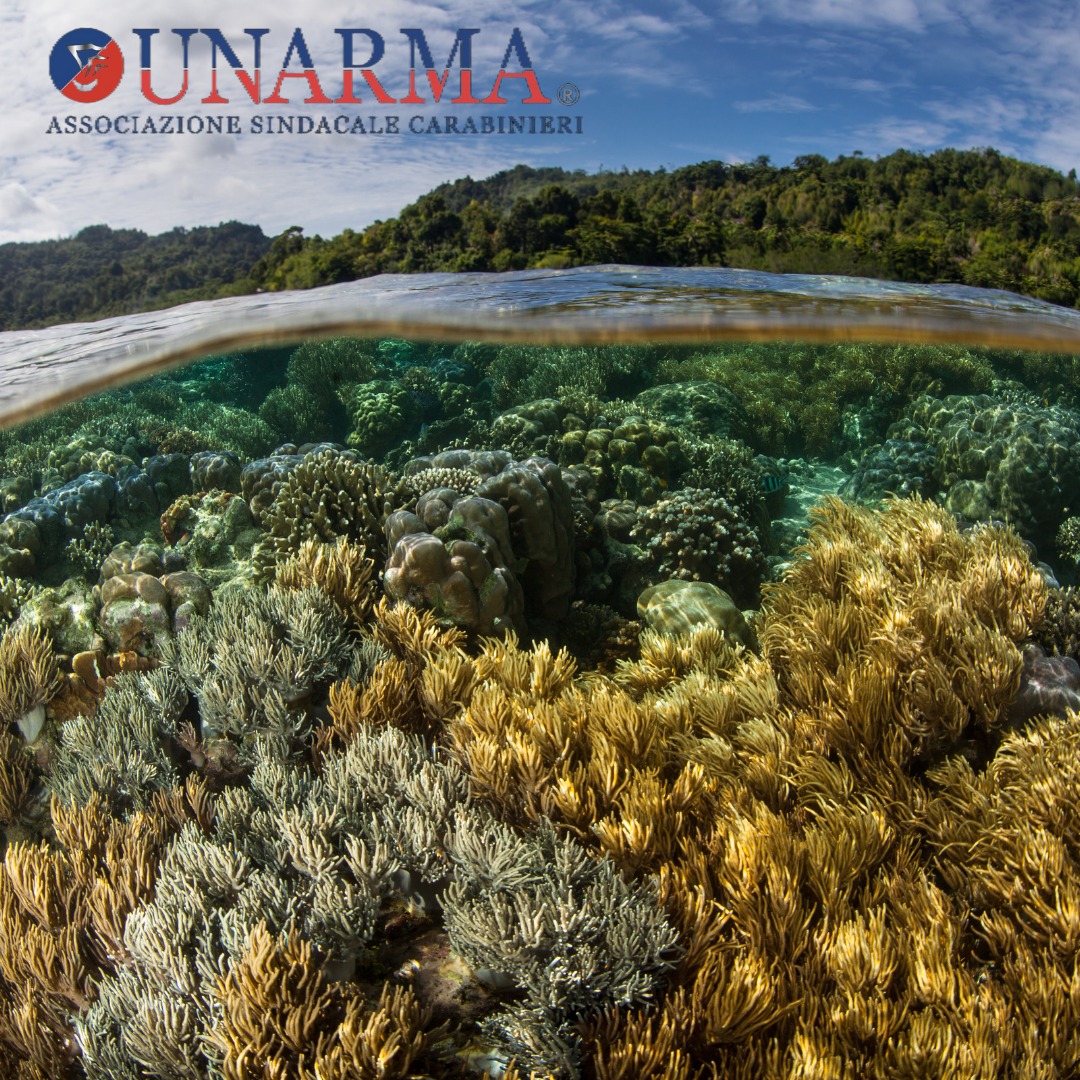 4e314343-4058-43a7-8e68-c82fc7a6bd56