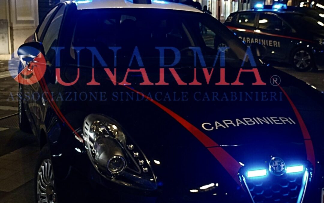 OGGETTO: Dotazione di mezzi delle Sezioni di P.G. presso le Procure della Repubblica. Attribuzione in organico.