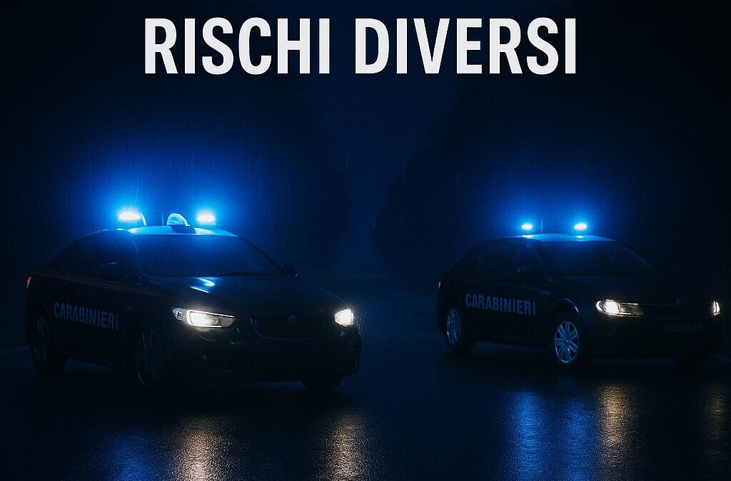 Oggetto: Utilizzo dei militari delle Stazioni Carabinieri per servizi esterni automontati di pronto intervento in sostituzione delle Radiomobili – benessere del personale