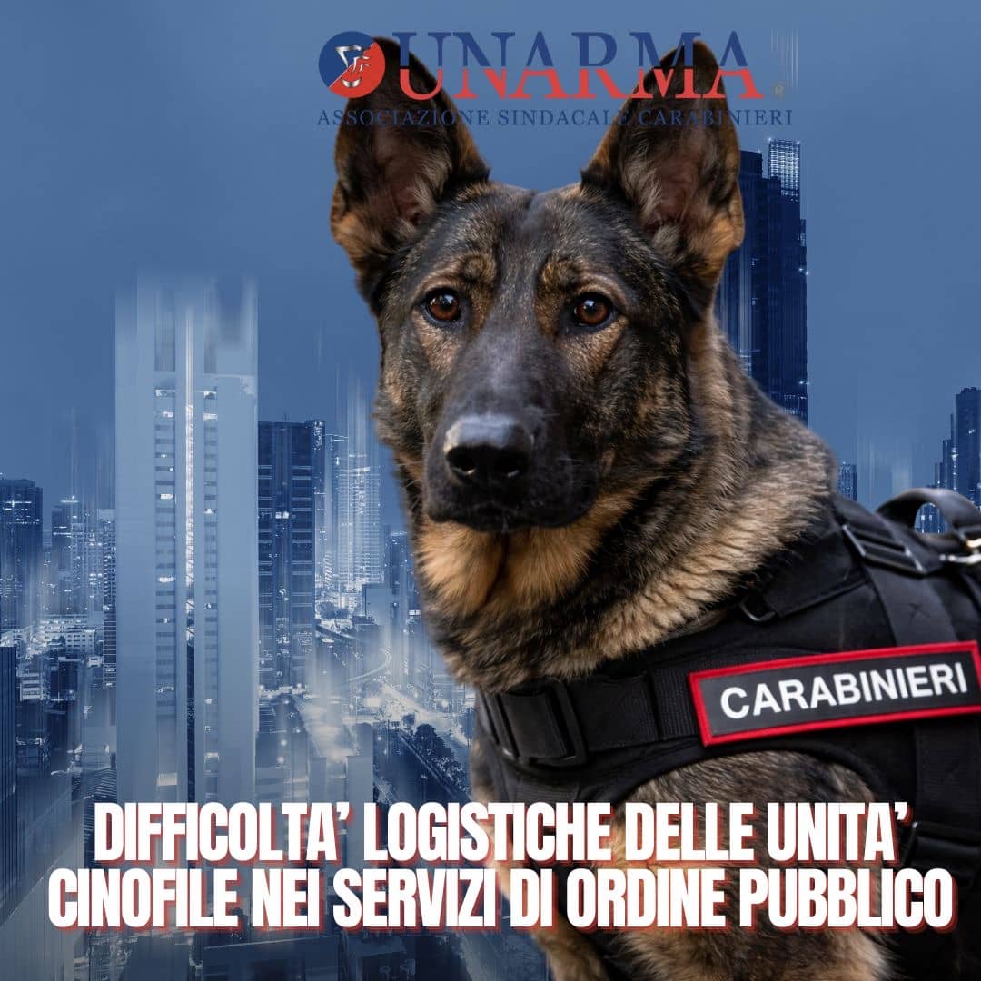 600868a3-677d-47bb-83b0-48bfa5b67327